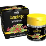 Canneberge système urinaire