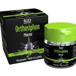 Orthosiphon minceur