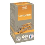 Champignon médicinal Cordyceps