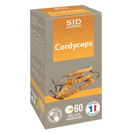 Champignon médicinal Cordyceps