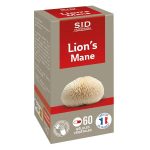 Champignon médicinal Lion's Mane