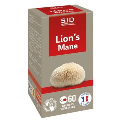 Champignon médicinal Lion's Mane