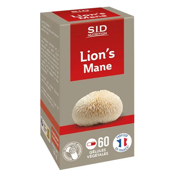Champignon médicinal Lion's Mane