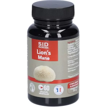 Champignon médicinal Lion's Mane