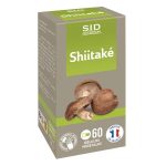 Champignon médicinal Shiitaké