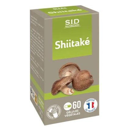 Champignon médicinal Shiitaké