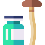 Champignons